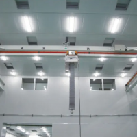 成都潔凈起重機(jī)、10萬級潔凈室行車！