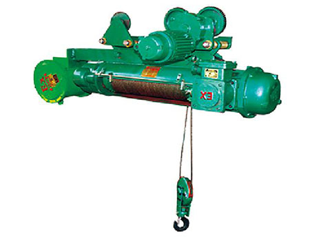 天津起重機(jī)-各種電動(dòng)葫蘆